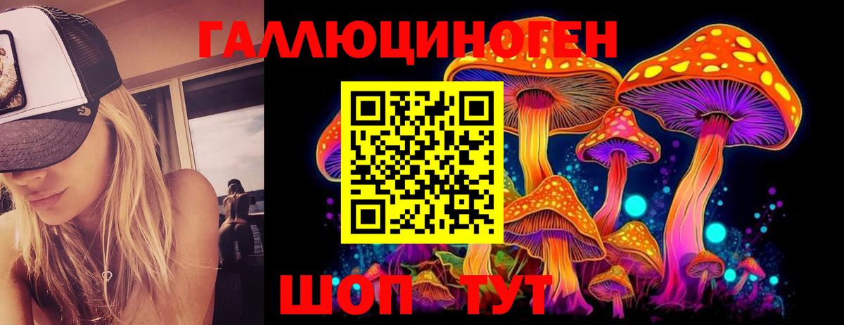 Киселёвск  Псилоцибиновые грибы Cubensis  Вход с VPN 